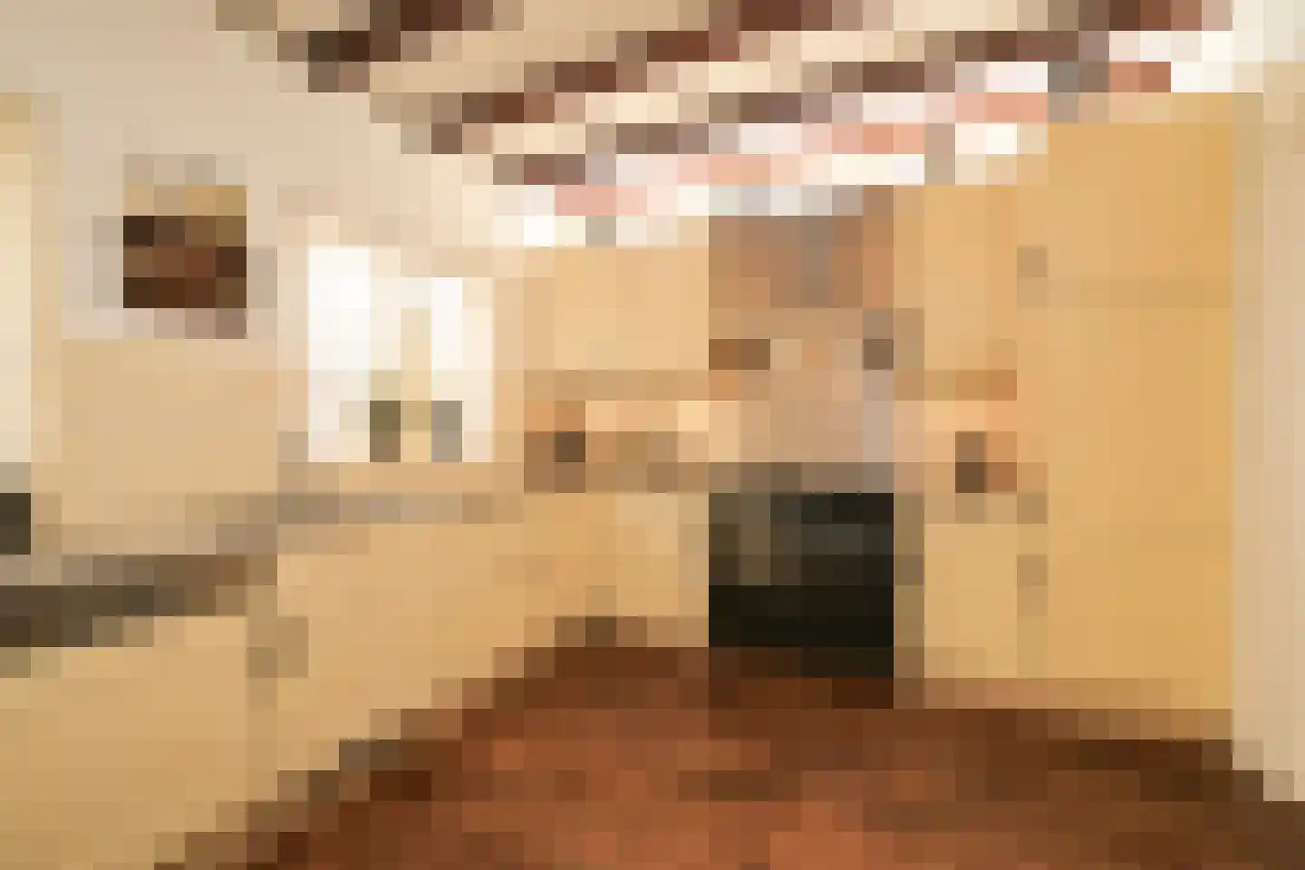 Vogeltuinen 2 Den Haag thumbnail 22
