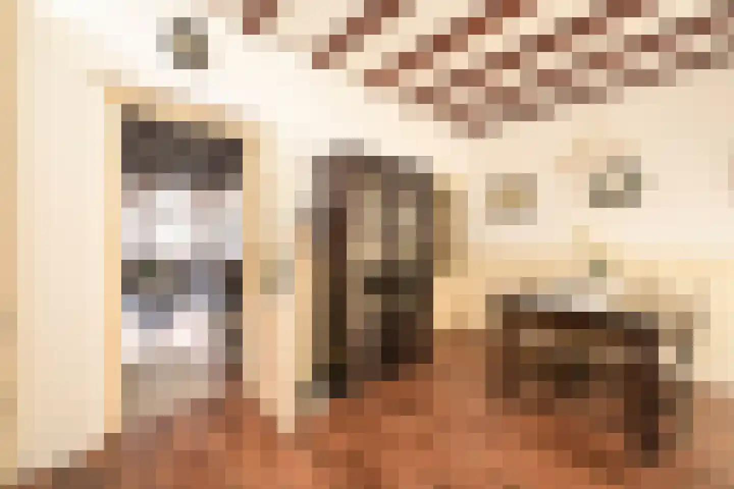 Vogeltuinen 2 Den Haag thumbnail 23