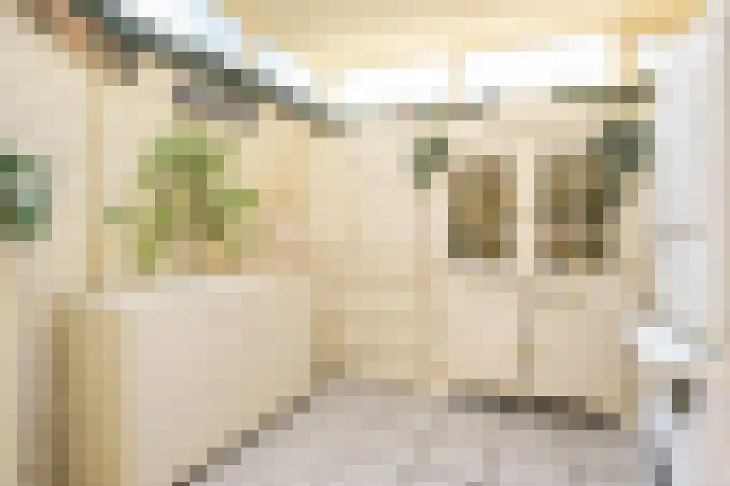 Vogeltuinen 2 Den Haag thumbnail 25