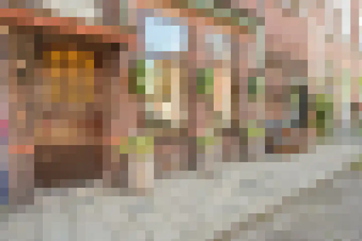 Vogeltuinen 2 Den Haag foto 3
