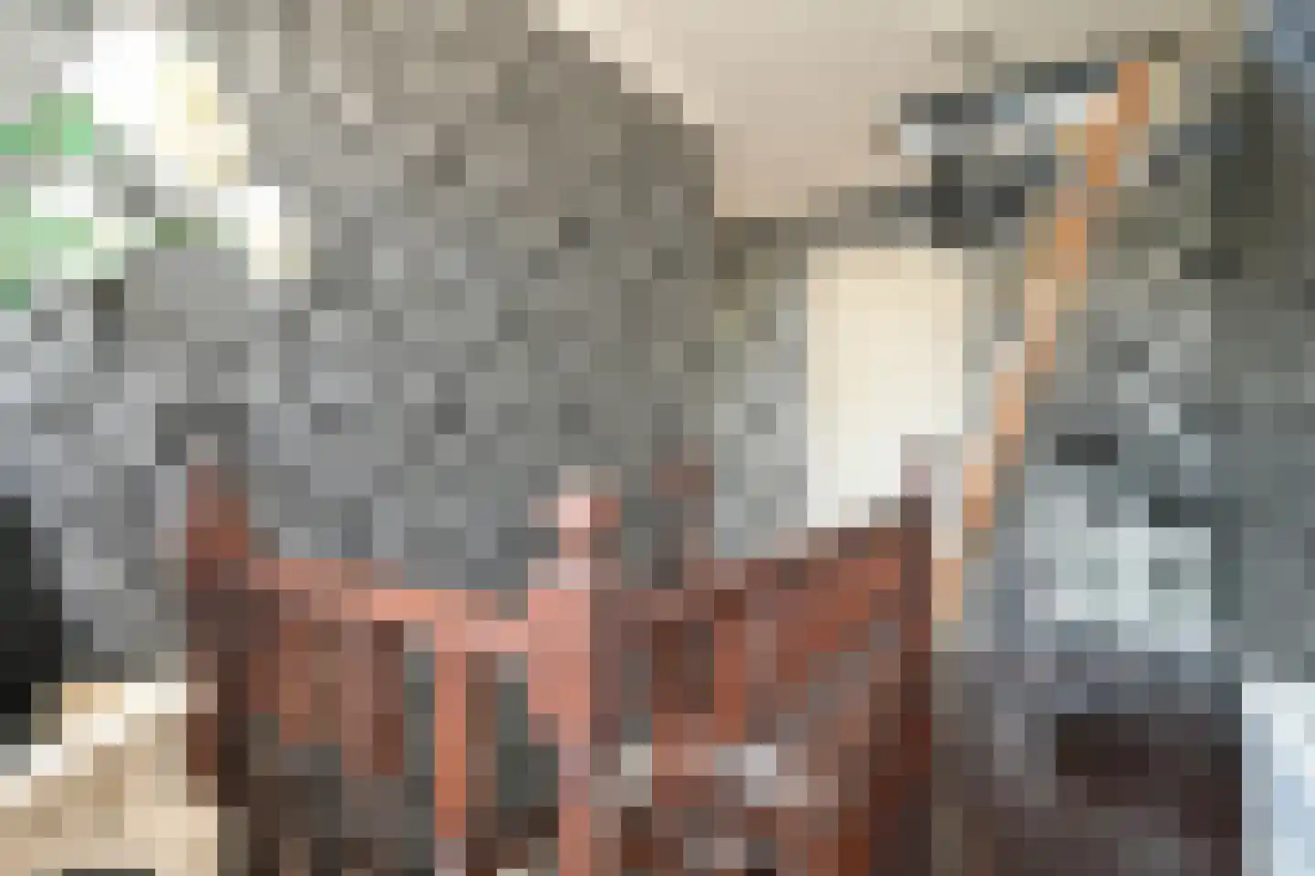 Vogeltuinen 2 Den Haag thumbnail 32