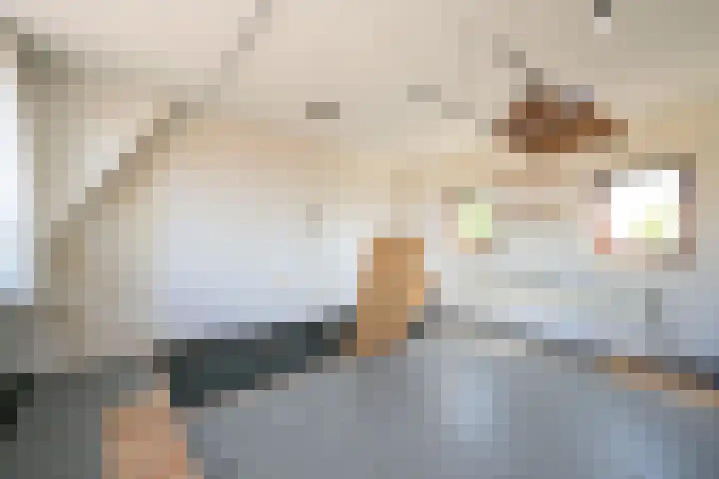 Vogeltuinen 2 Den Haag thumbnail 35
