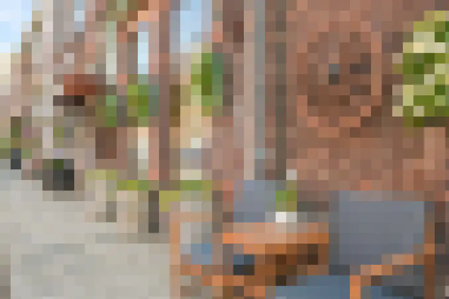 Vogeltuinen 2 Den Haag thumbnail 4