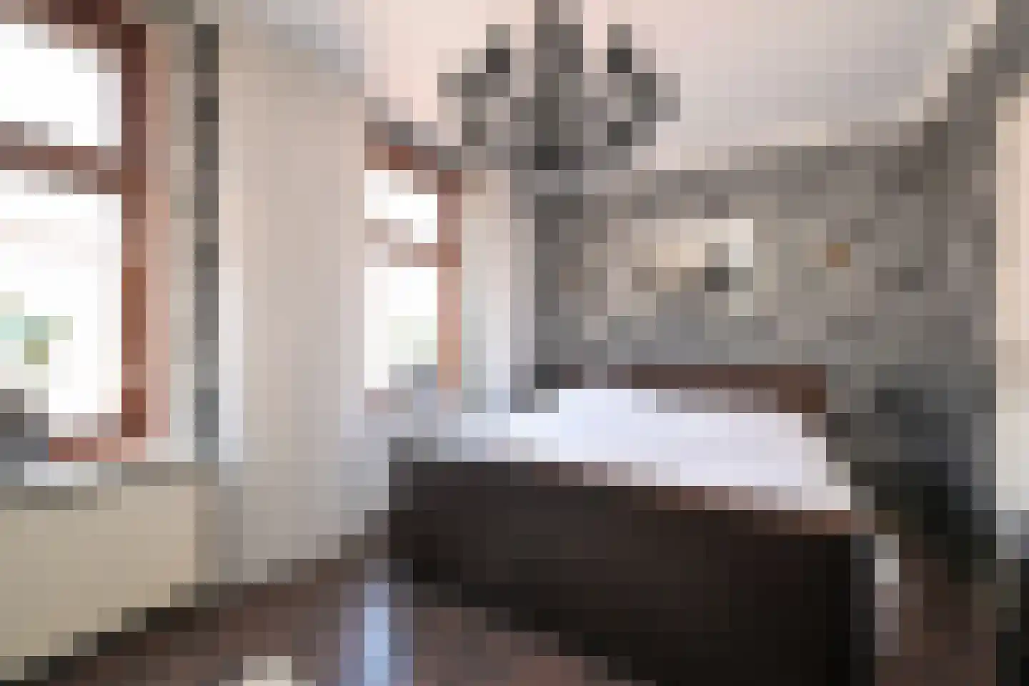 Vogeltuinen 2 Den Haag thumbnail 41