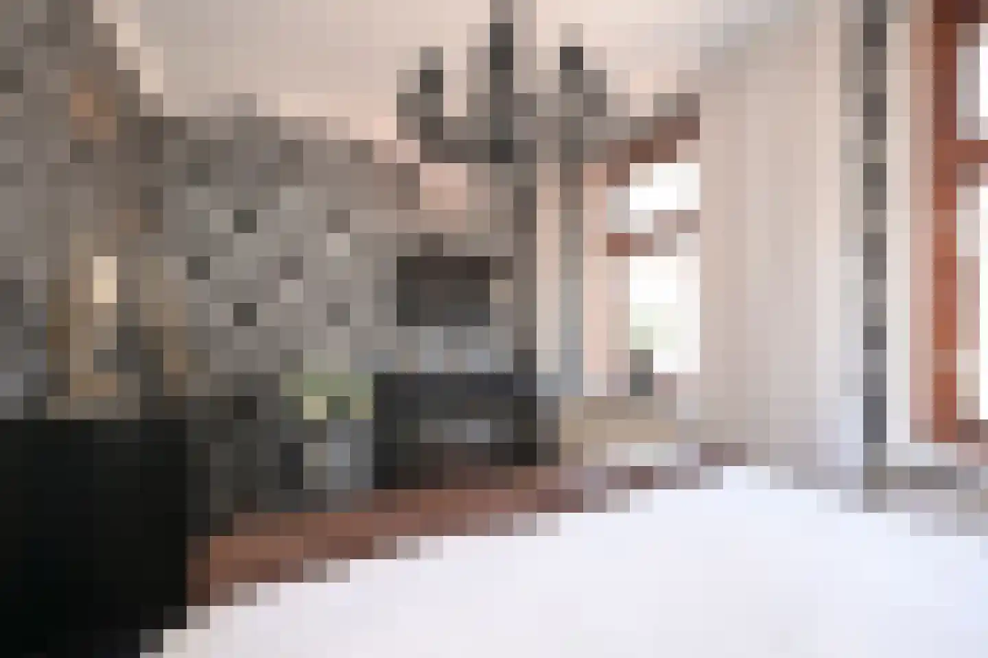 Vogeltuinen 2 Den Haag thumbnail 42