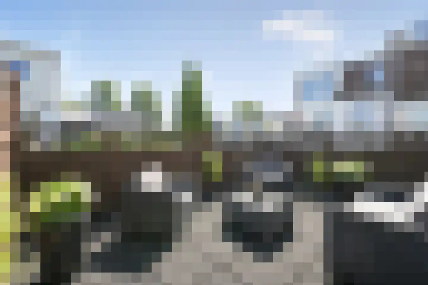 Vogeltuinen 2 Den Haag thumbnail 45