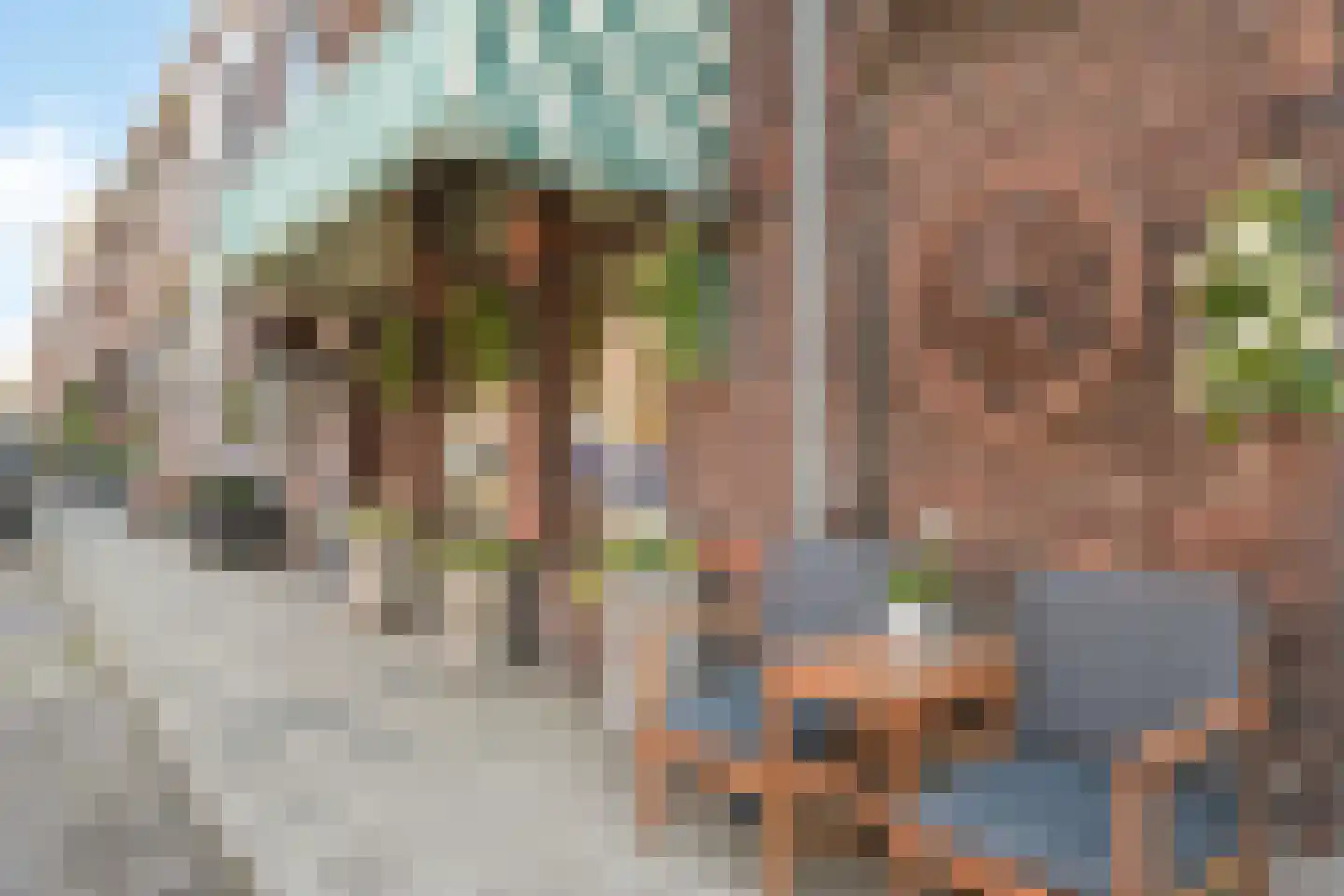 Vogeltuinen 2 Den Haag thumbnail 6