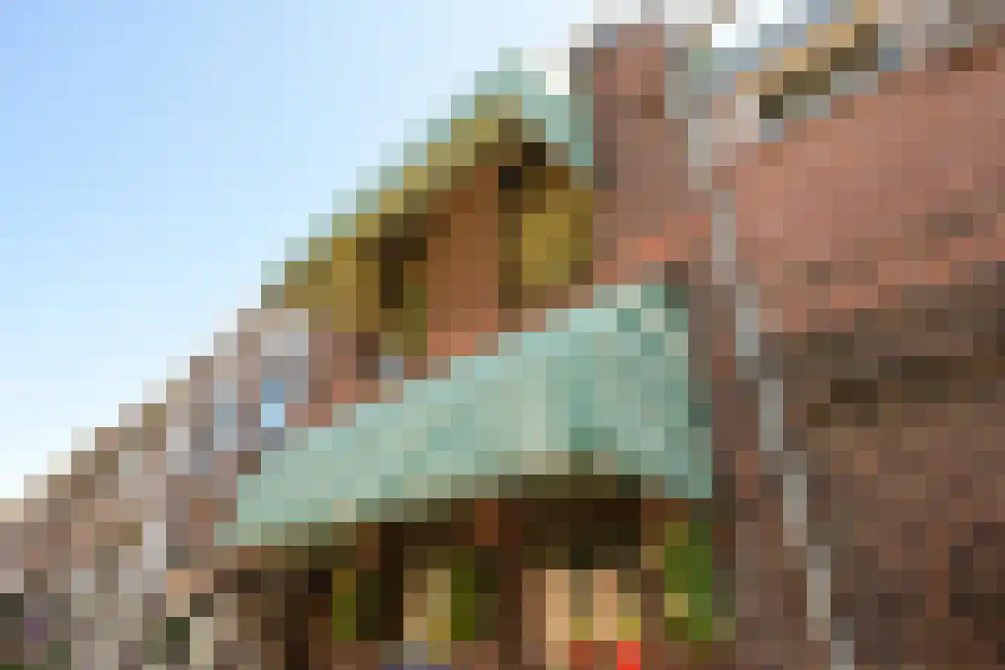 Vogeltuinen 2 Den Haag thumbnail 7