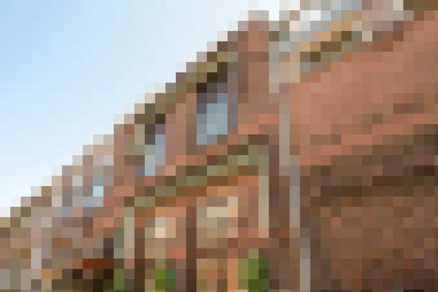 Vogeltuinen 2 Den Haag thumbnail 8