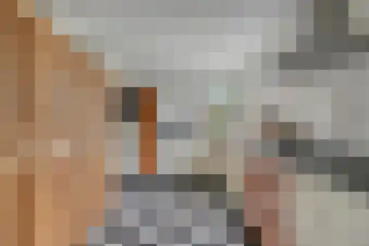 Vogelven 17 Rijsbergen thumbnail 16