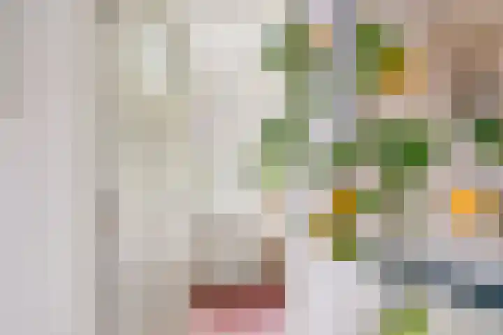 Vogelven 17 Rijsbergen thumbnail 25