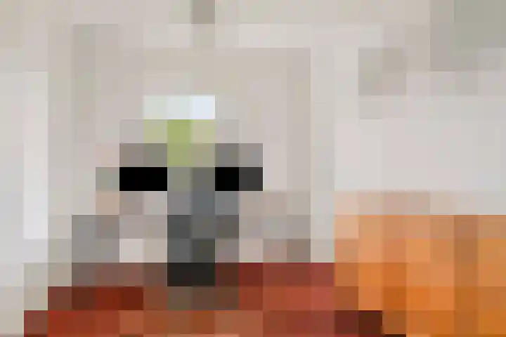 Vogelven 17 Rijsbergen thumbnail 28