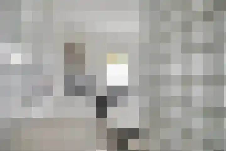 Vogelven 17 Rijsbergen thumbnail 29