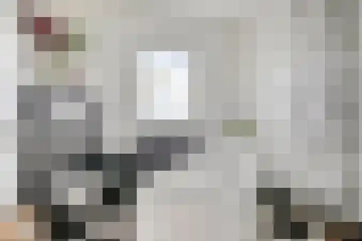 Vogelven 17 Rijsbergen thumbnail 30