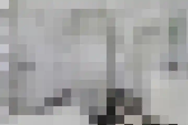 Vogelven 17 Rijsbergen thumbnail 31