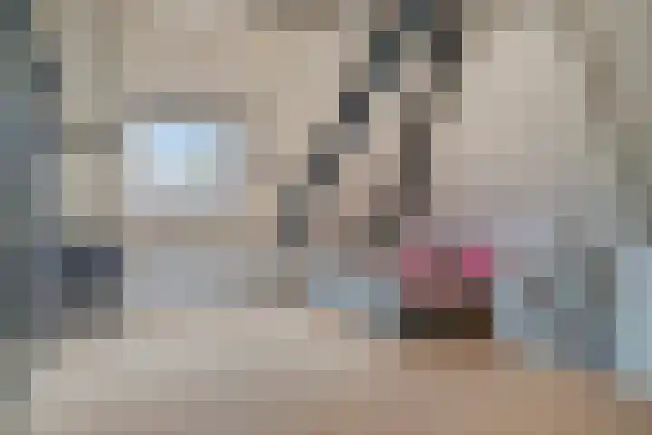 Vogelven 17 Rijsbergen thumbnail 32