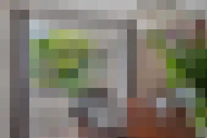 Vogelven 17 Rijsbergen thumbnail 35