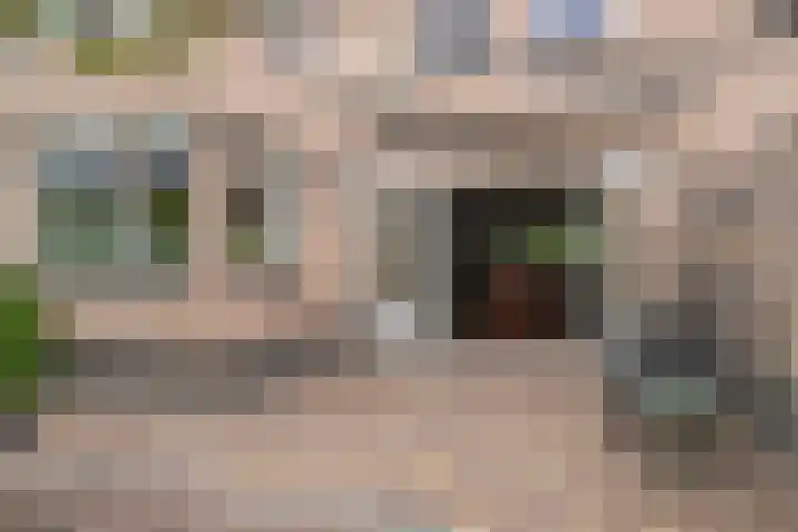 Vogelven 17 Rijsbergen thumbnail 36