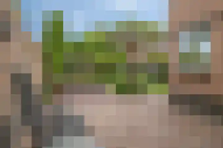 Vogelven 17 Rijsbergen thumbnail 37