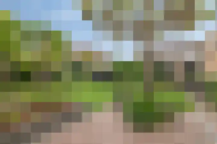 Vogelven 17 Rijsbergen thumbnail 38