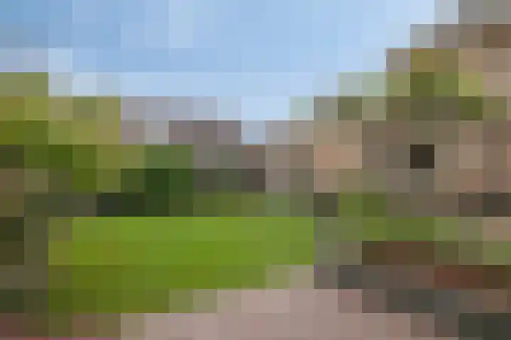 Vogelven 17 Rijsbergen thumbnail 39