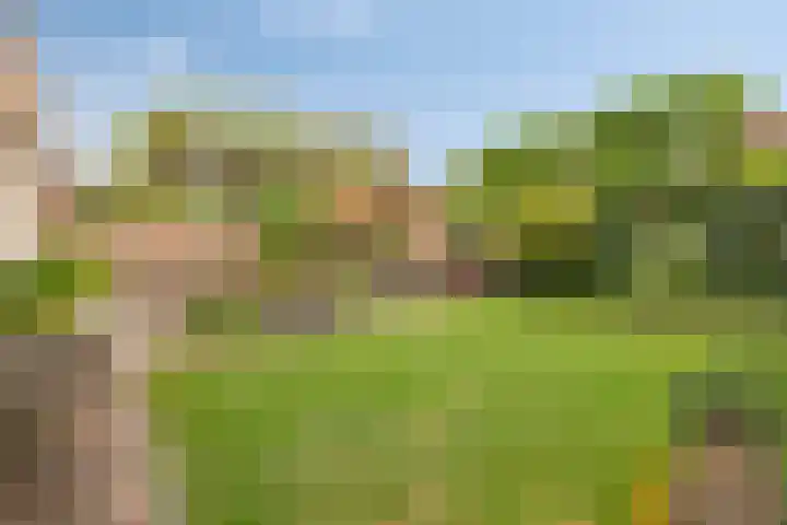 Vogelven 17 Rijsbergen thumbnail 40