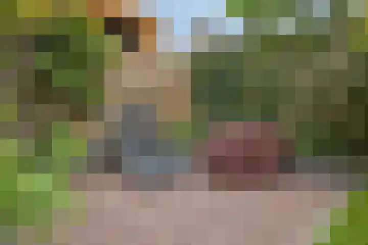 Vogelven 17 Rijsbergen thumbnail 41