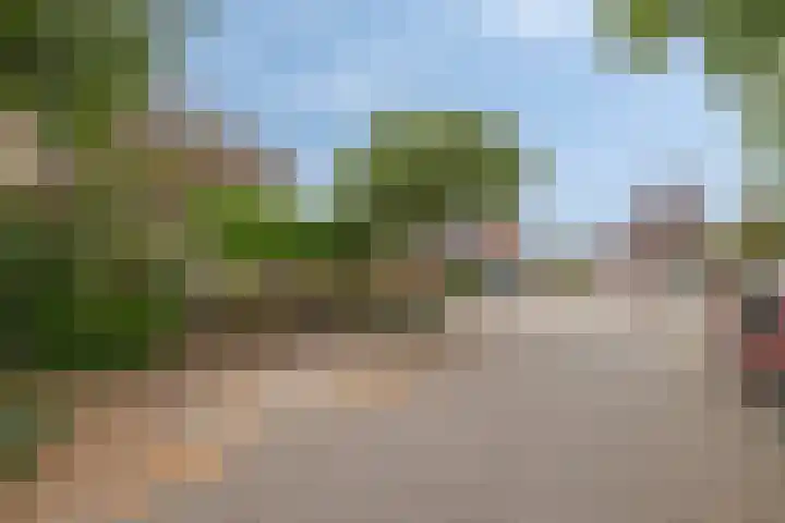 Vogelven 17 Rijsbergen thumbnail 43