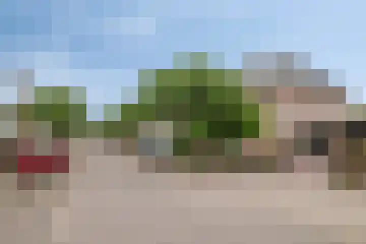 Vogelven 17 Rijsbergen thumbnail 44