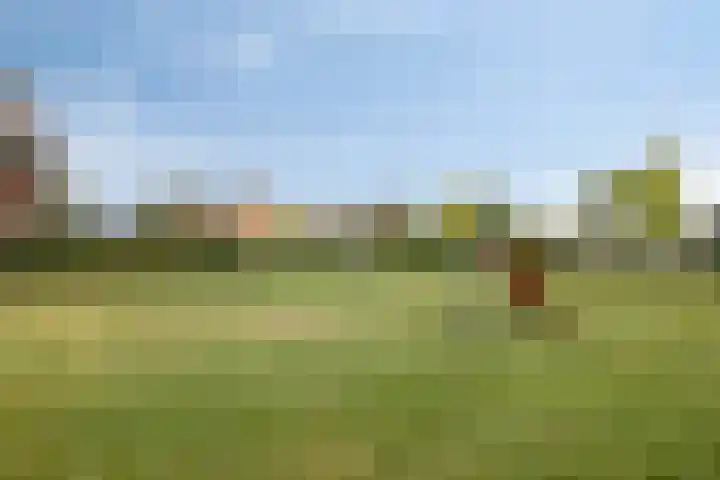 Vogelven 17 Rijsbergen thumbnail 45