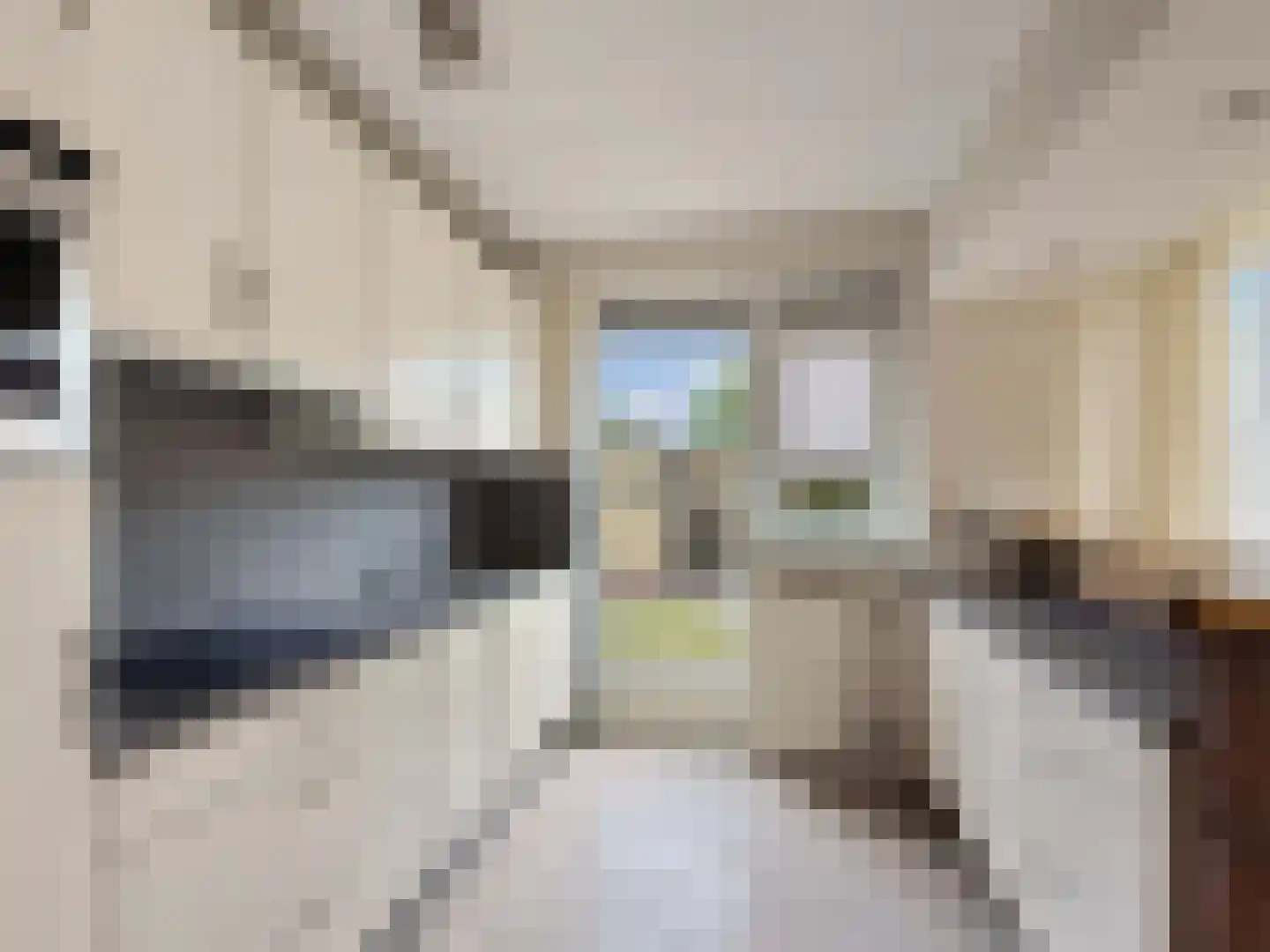 Vogelven 2 Heemskerk thumbnail 13