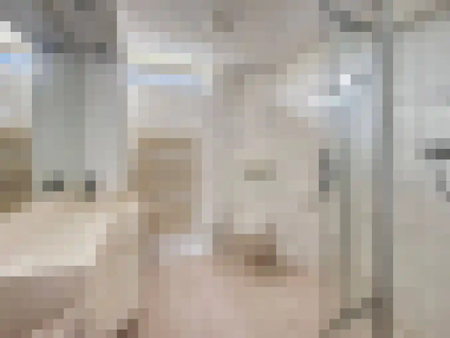 Vogelven 2 Heemskerk thumbnail 22