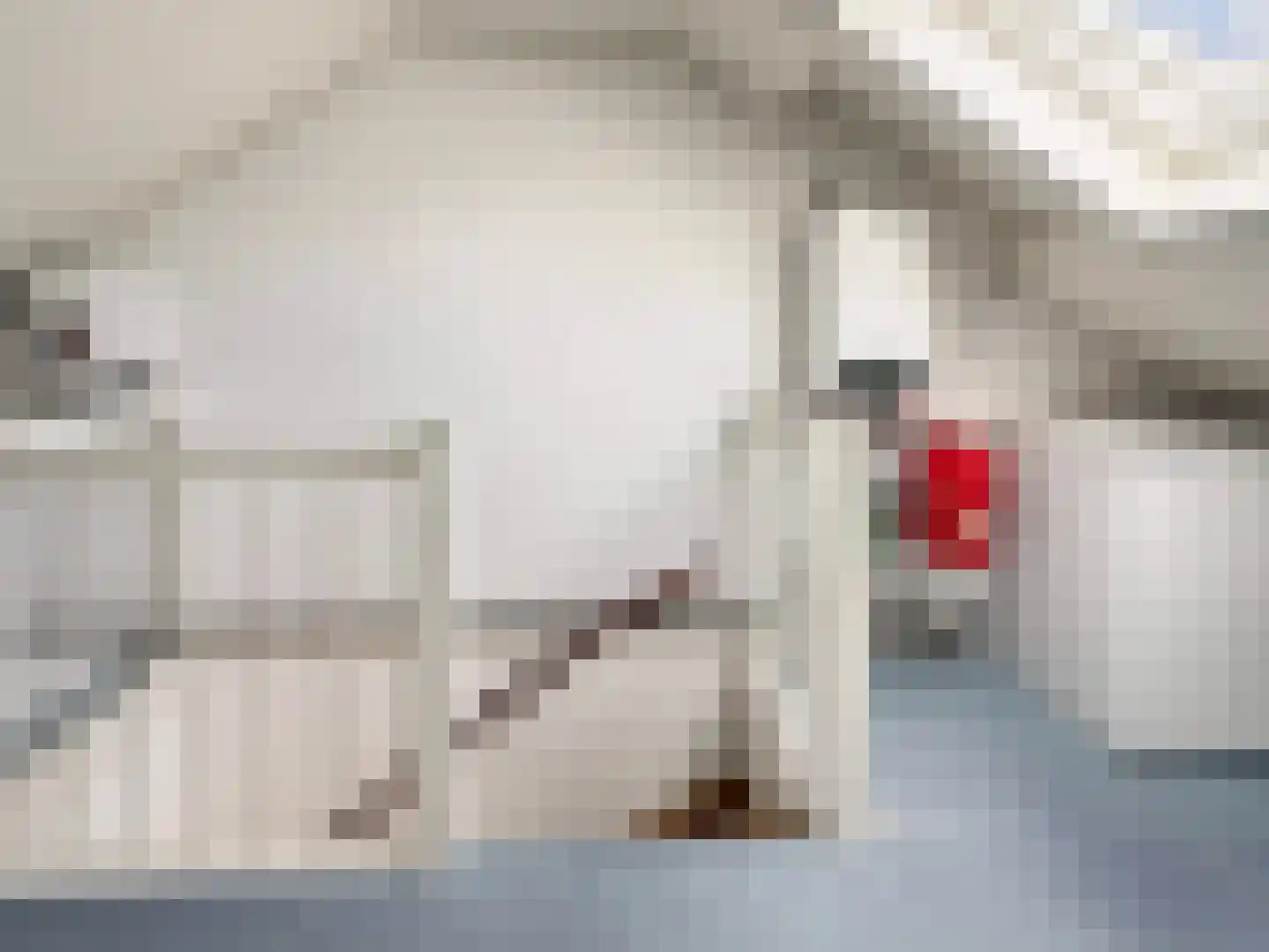 Vogelven 2 Heemskerk thumbnail 24