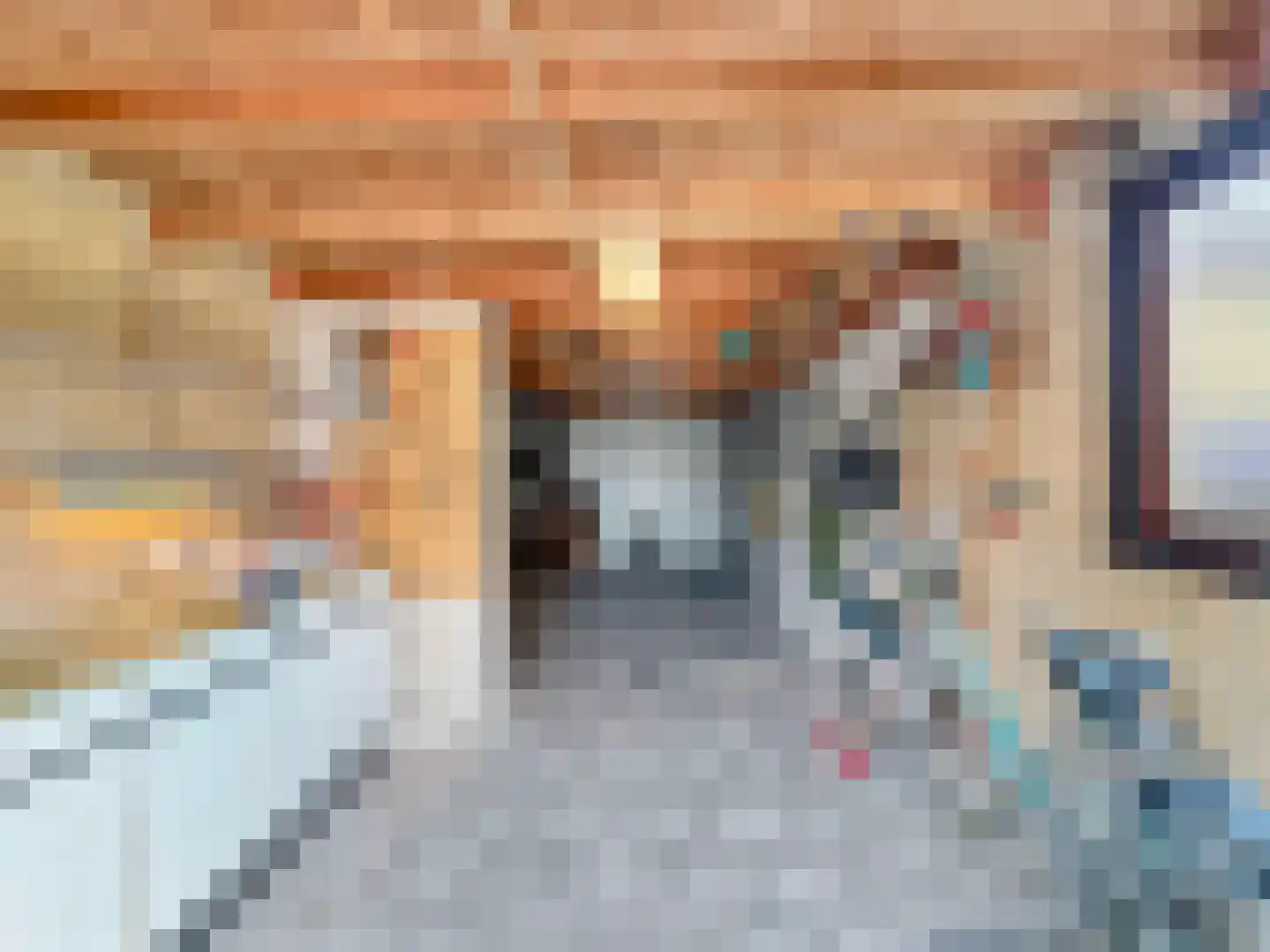 Vogelven 2 Heemskerk thumbnail 27