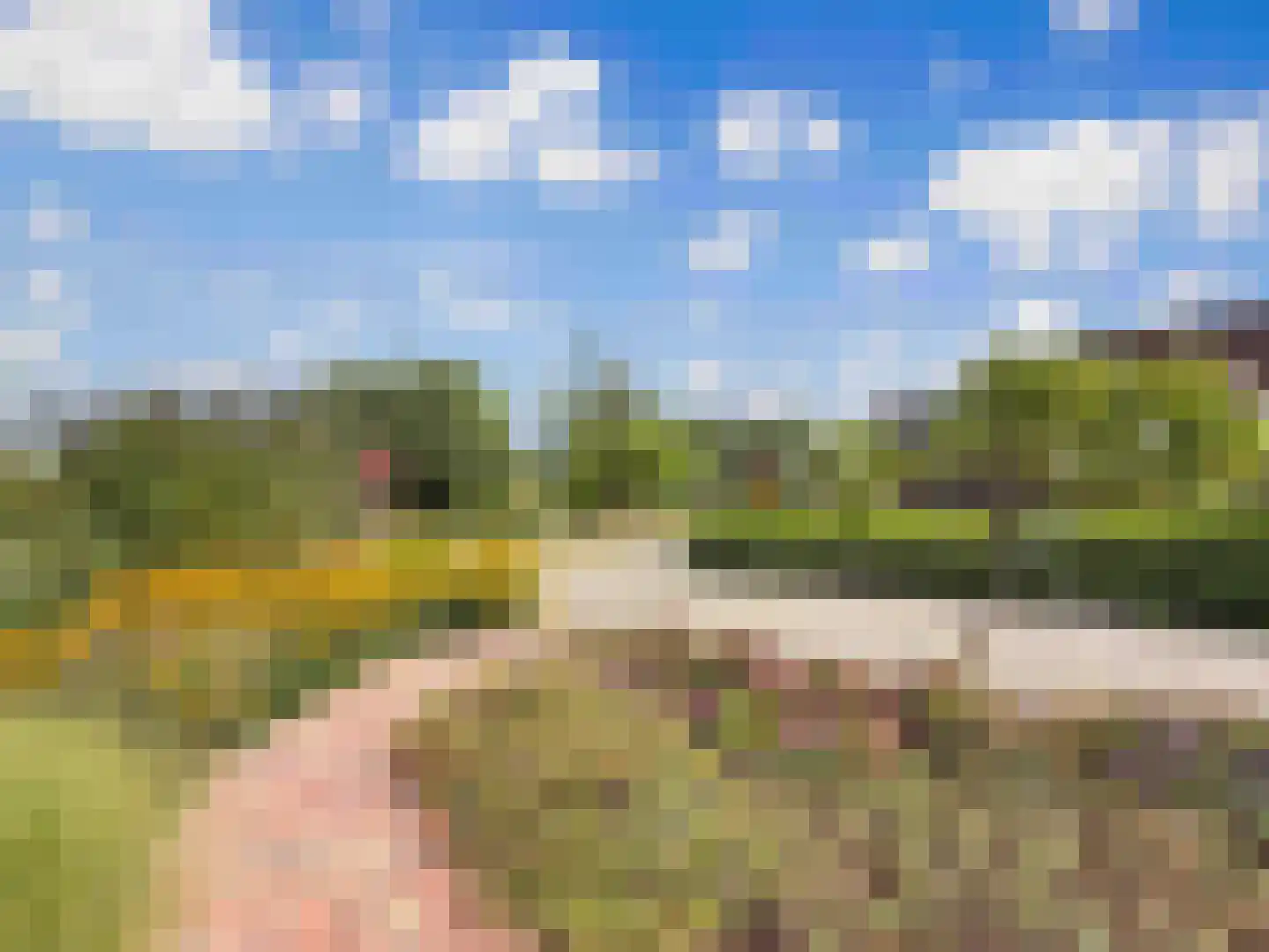 Vogelven 2 Heemskerk thumbnail 28