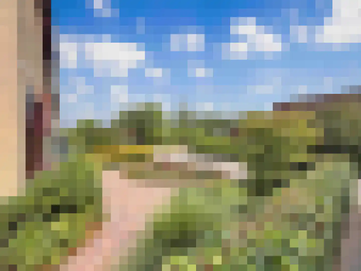 Vogelven 2 Heemskerk thumbnail 4