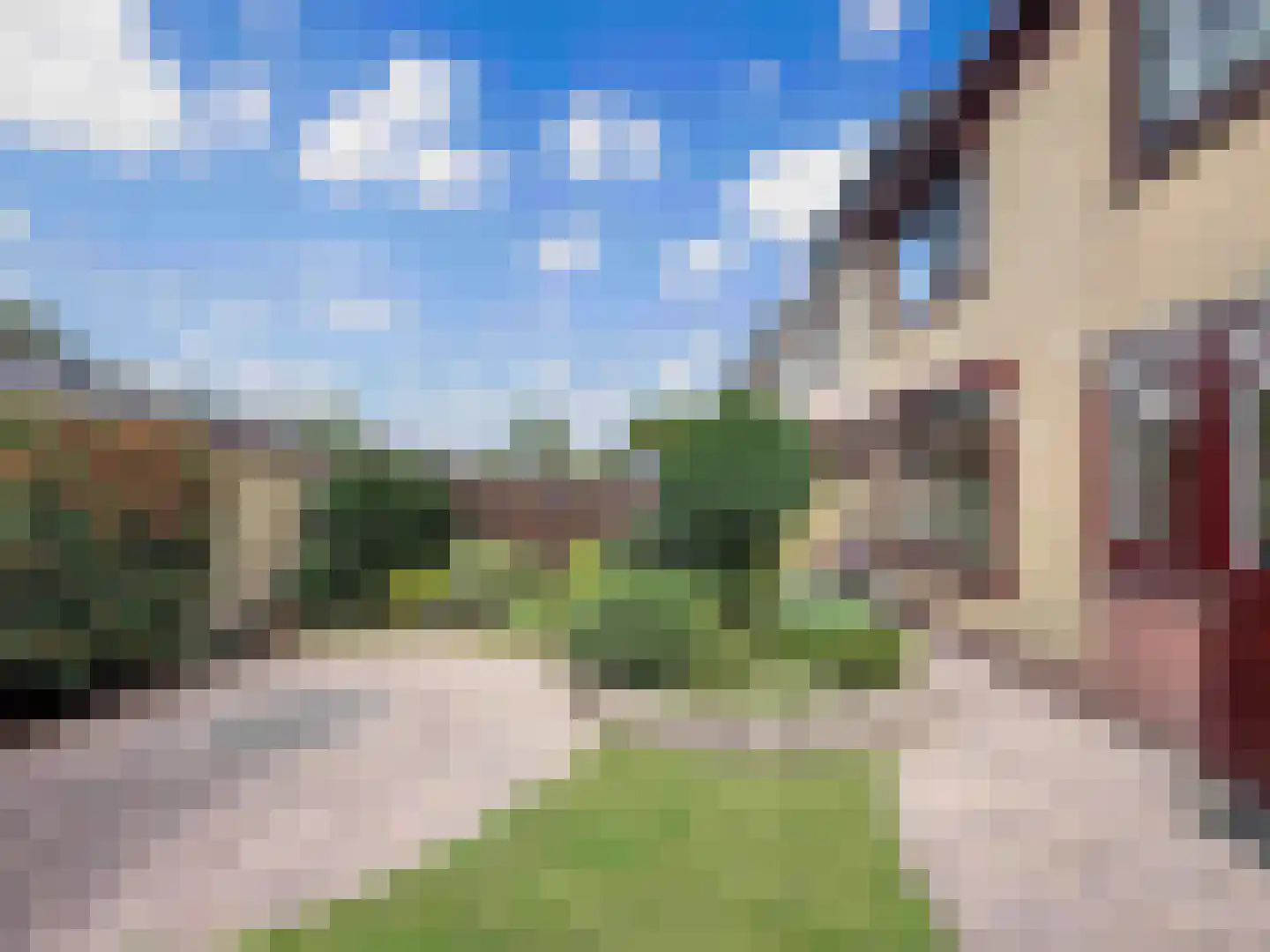 Vogelven 2 Heemskerk thumbnail 6