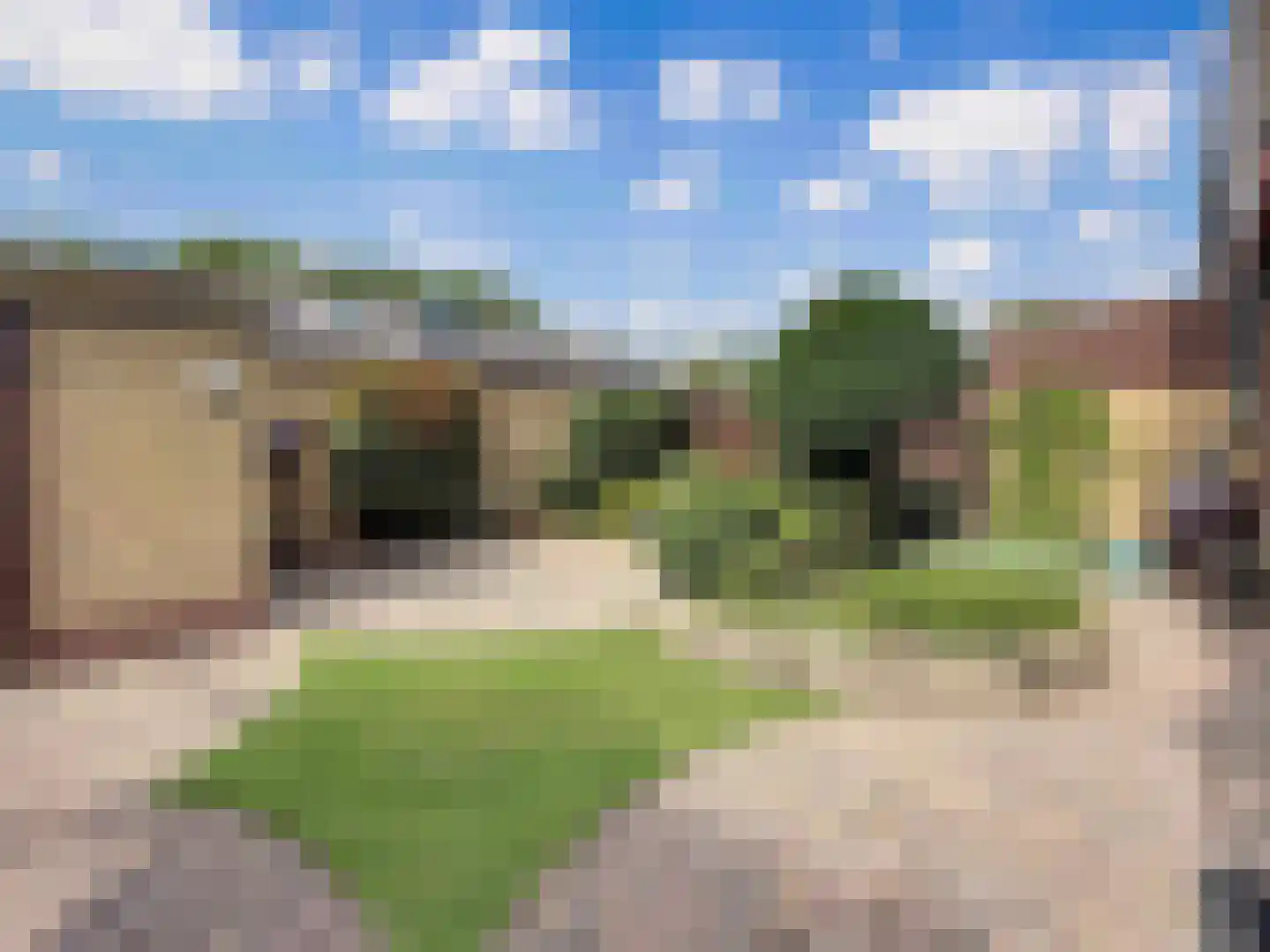 Vogelven 2 Heemskerk thumbnail 7