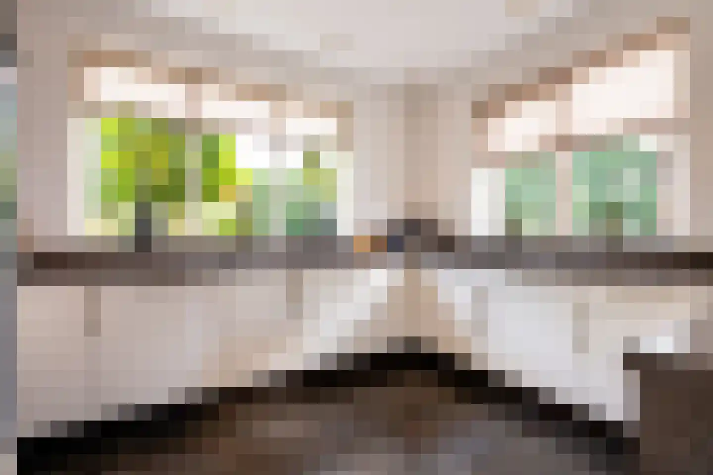 Vogelven 26 Hoogerheide thumbnail 16