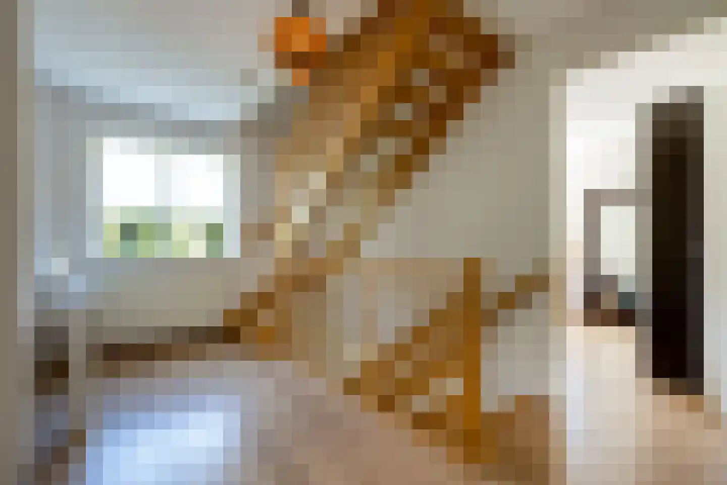Vogelven 26 Hoogerheide thumbnail 22