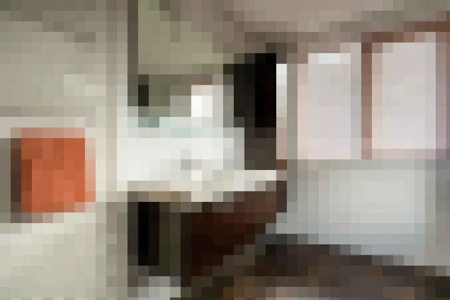 Vogelven 26 Hoogerheide thumbnail 33
