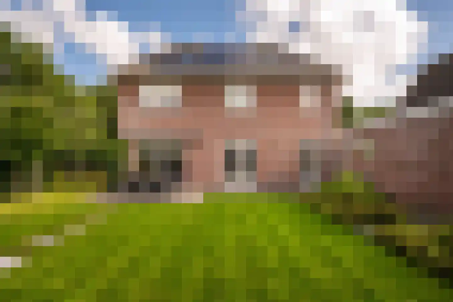Vogelven 26 Hoogerheide thumbnail 37