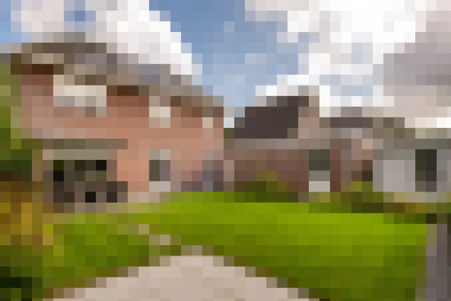 Vogelven 26 Hoogerheide thumbnail 38