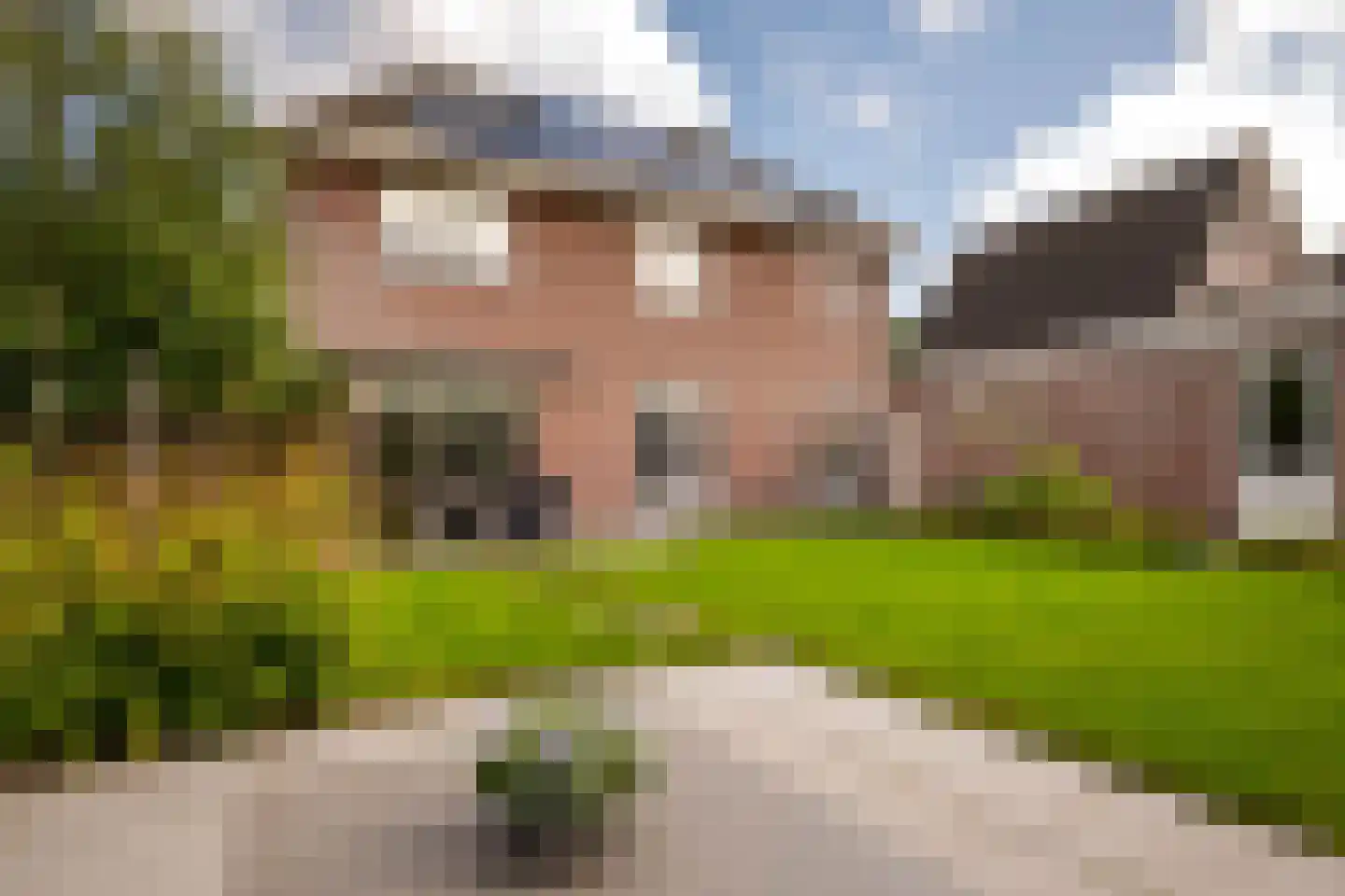 Vogelven 26 Hoogerheide thumbnail 39