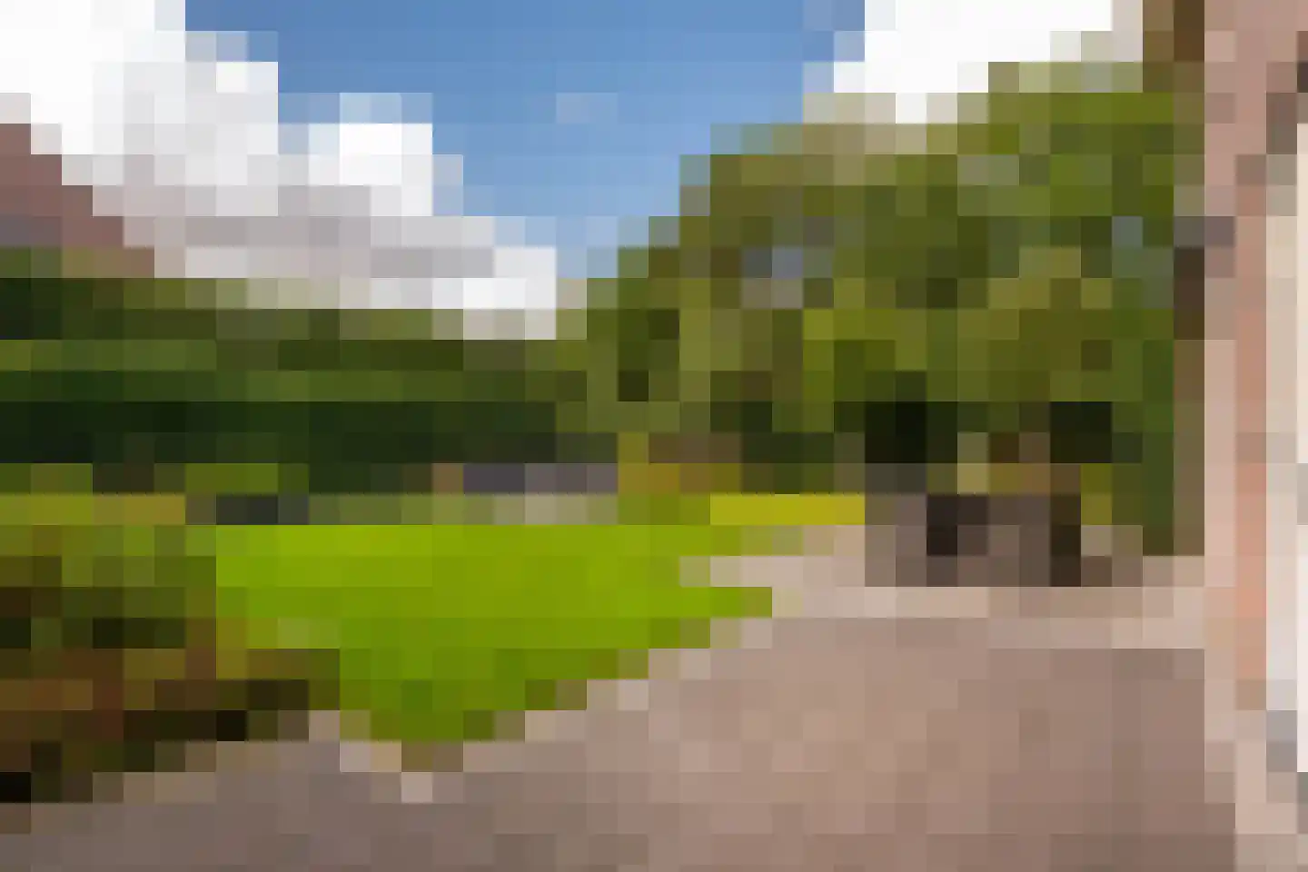 Vogelven 26 Hoogerheide thumbnail 42