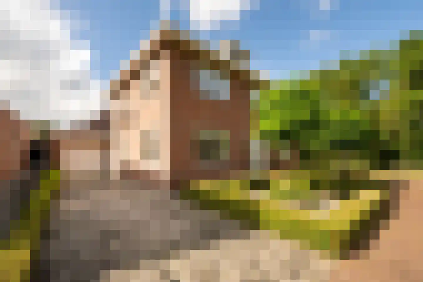 Vogelven 26 Hoogerheide thumbnail 45