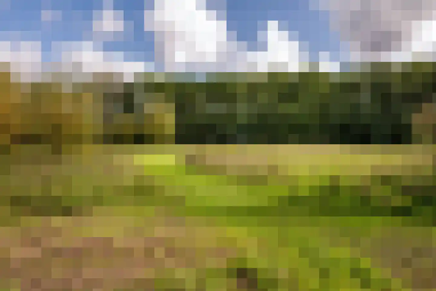 Vogelven 26 Hoogerheide thumbnail 49