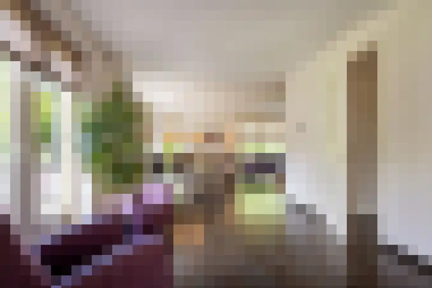 Vogelven 26 Hoogerheide thumbnail 6