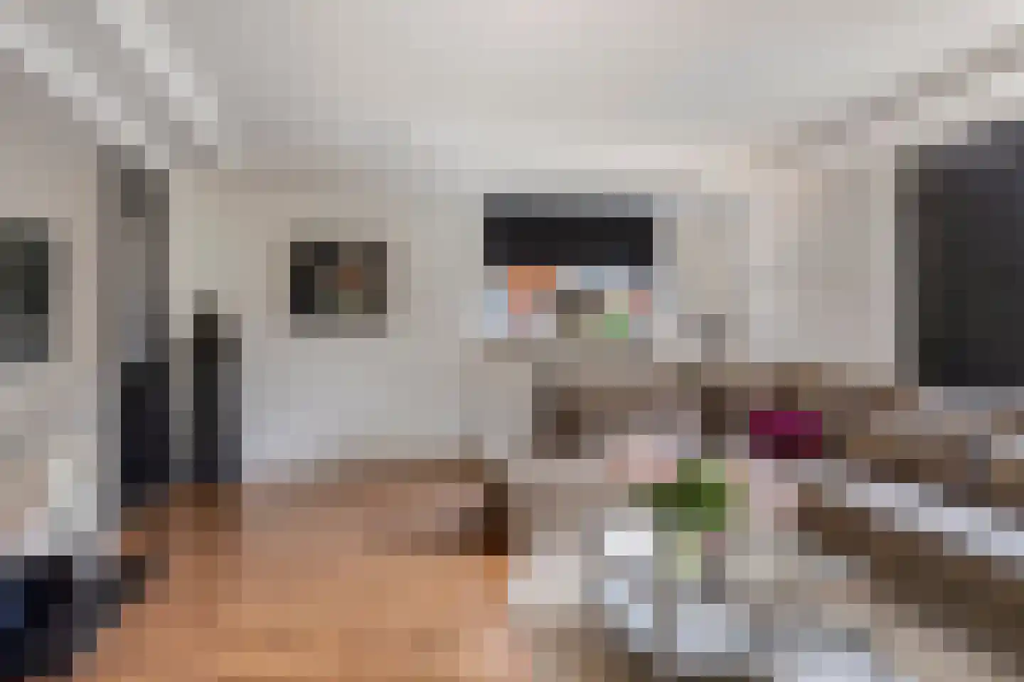Vogelvlinder 18 Enschede thumbnail 11