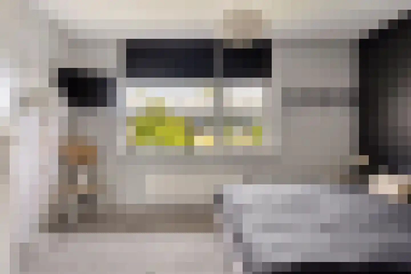 Vogelvlinder 18 Enschede thumbnail 22